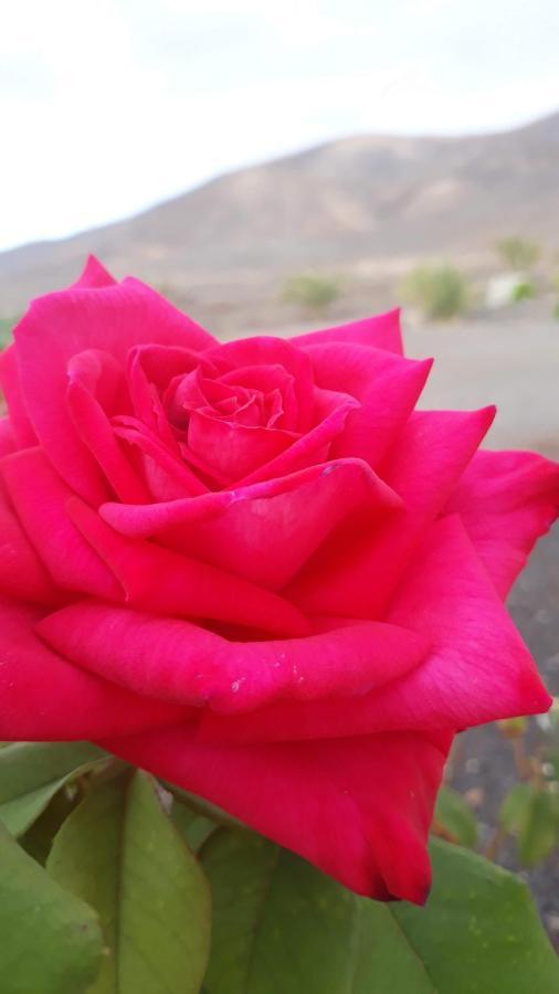 Finca Los Rosales La Lajita Ngoại thất bức ảnh