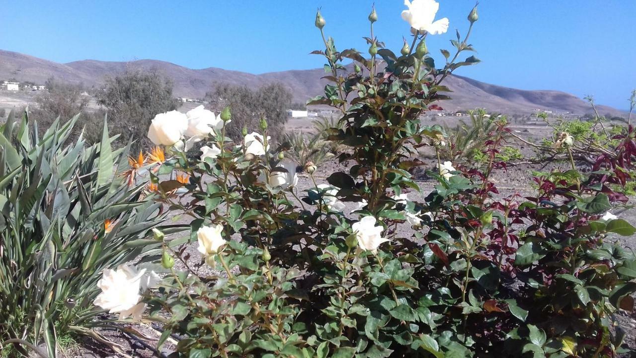 Finca Los Rosales La Lajita Ngoại thất bức ảnh