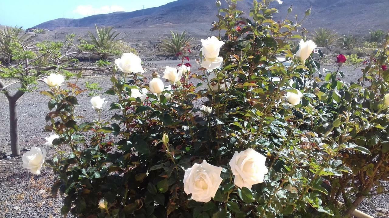 Finca Los Rosales La Lajita Ngoại thất bức ảnh