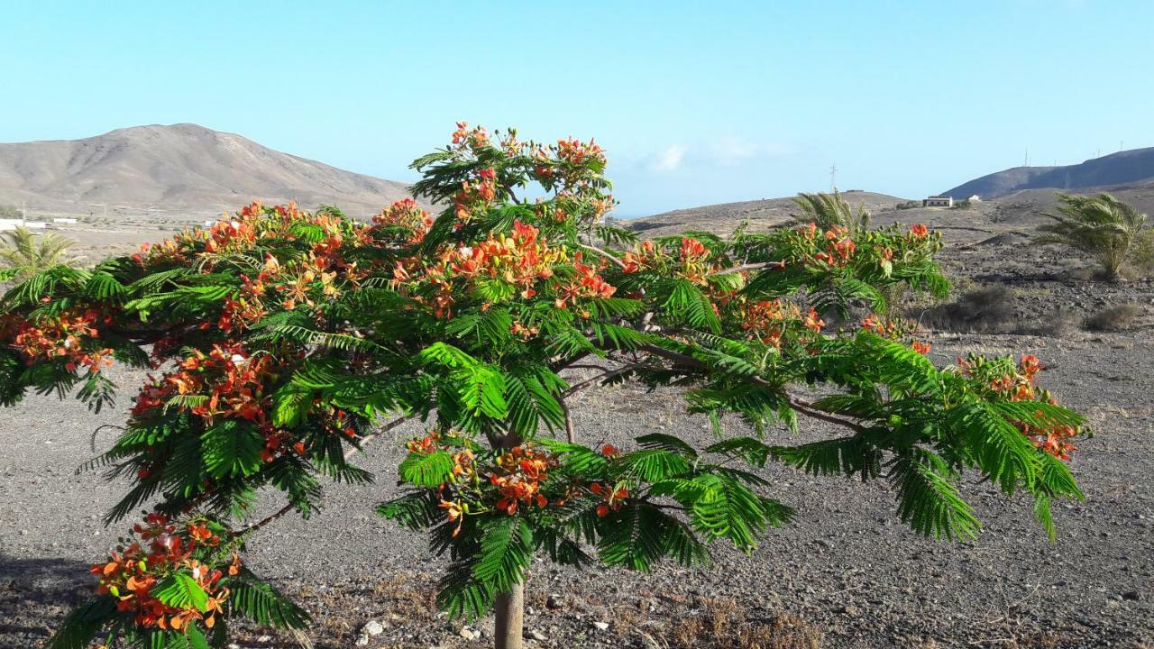 Finca Los Rosales La Lajita Ngoại thất bức ảnh
